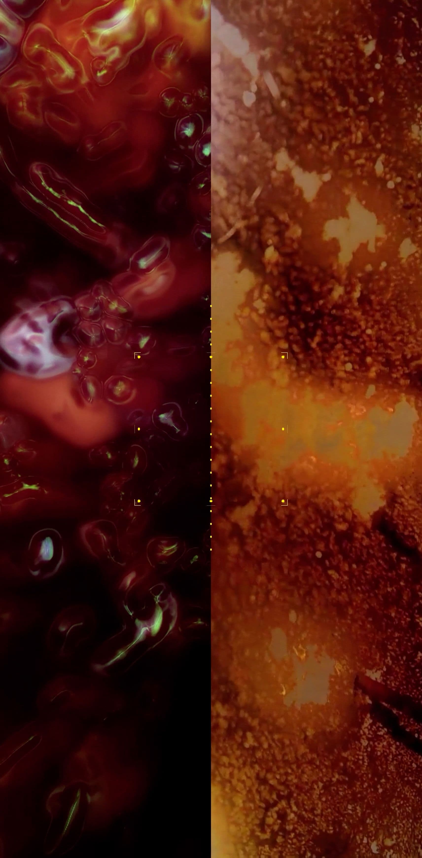 An image without an alt, whoops