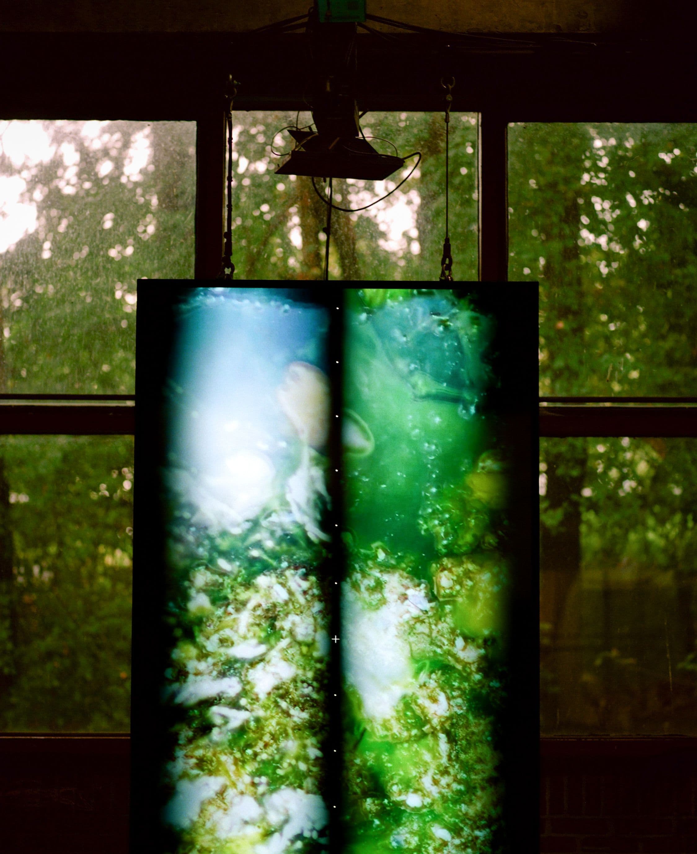 An image without an alt, whoops