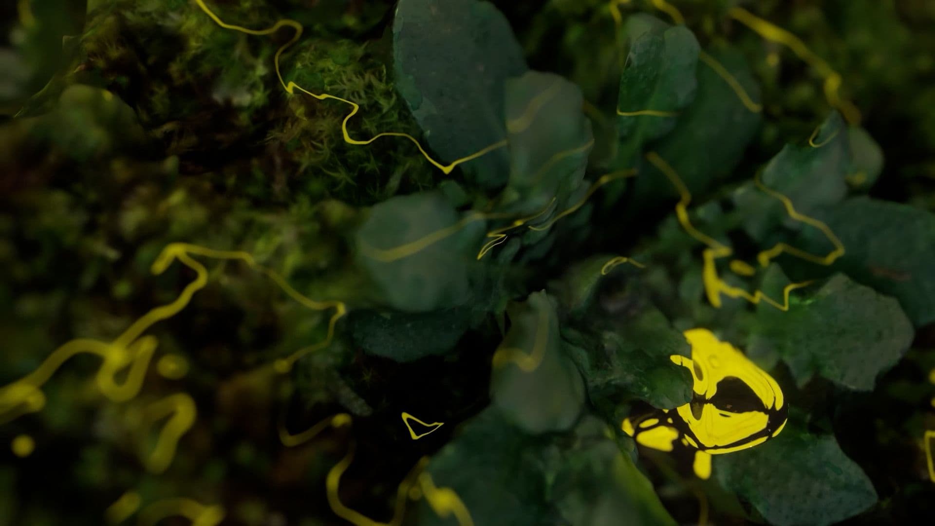 An image without an alt, whoops