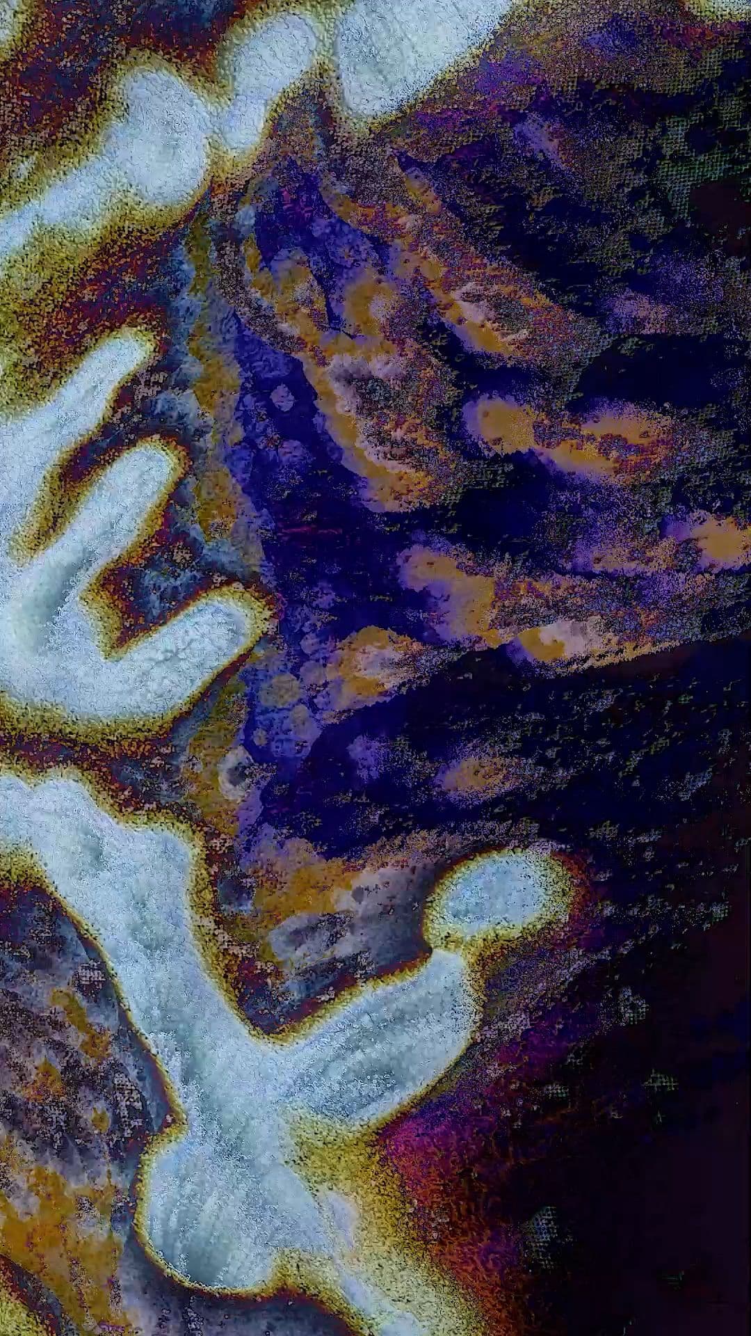 An image without an alt, whoops