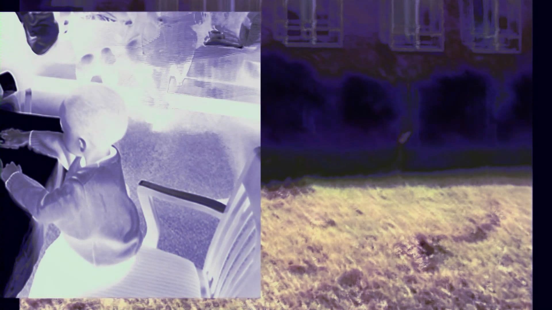 An image without an alt, whoops