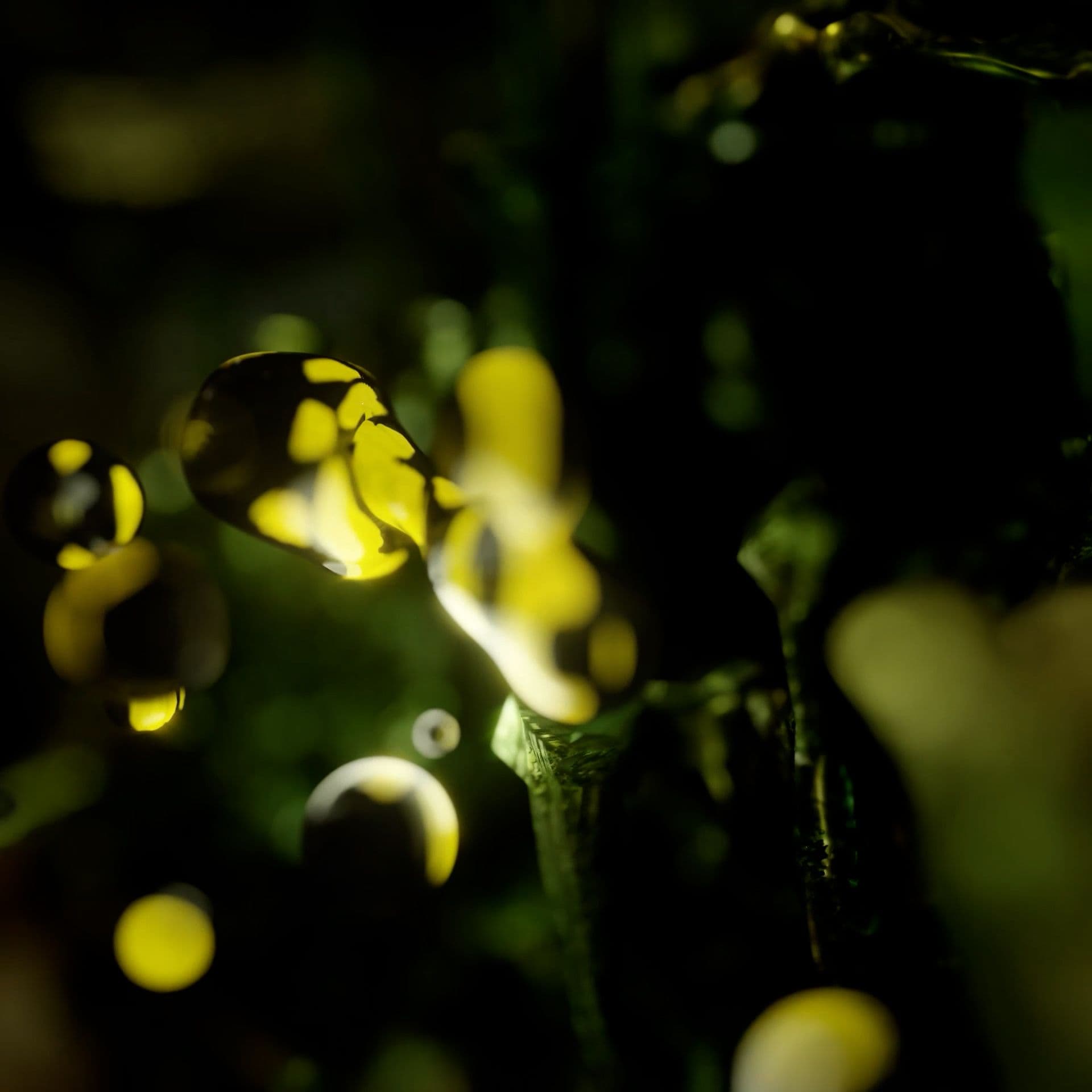 An image without an alt, whoops