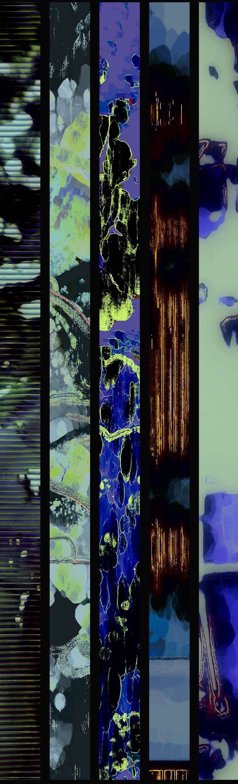 An image without an alt, whoops