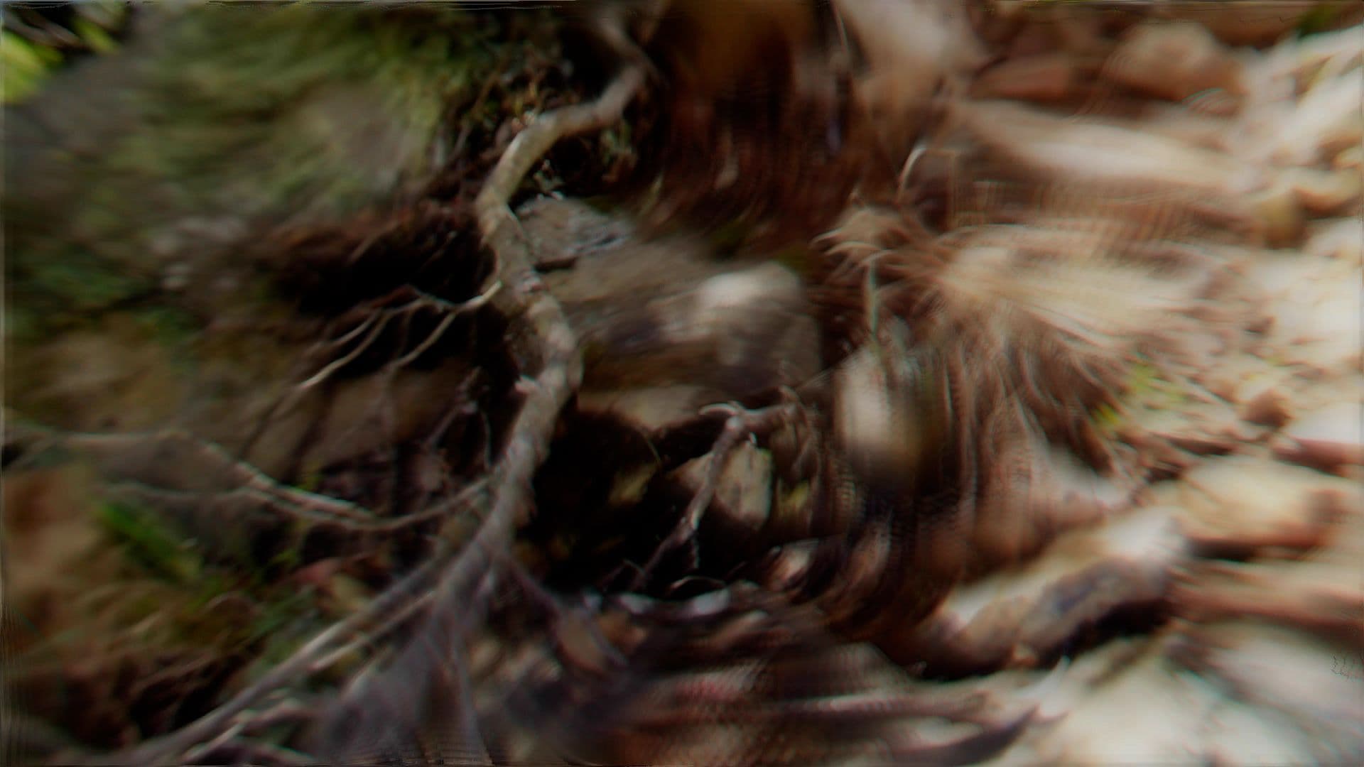 An image without an alt, whoops