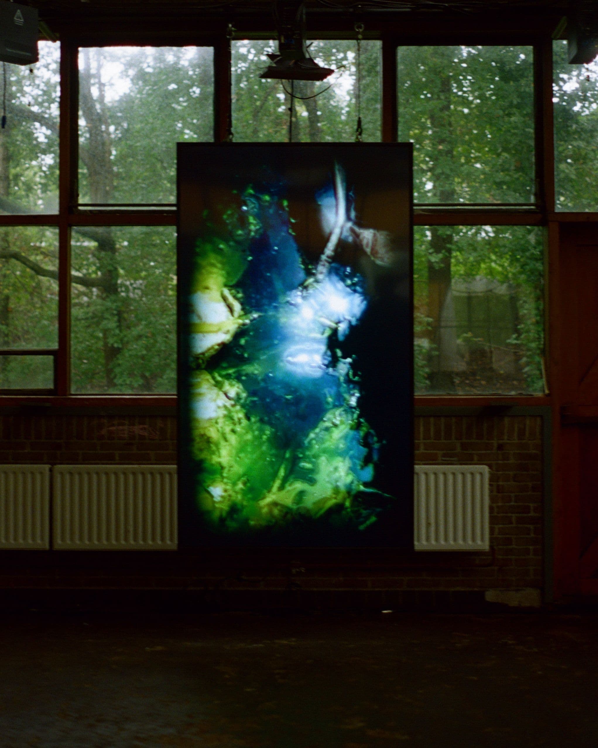 An image without an alt, whoops