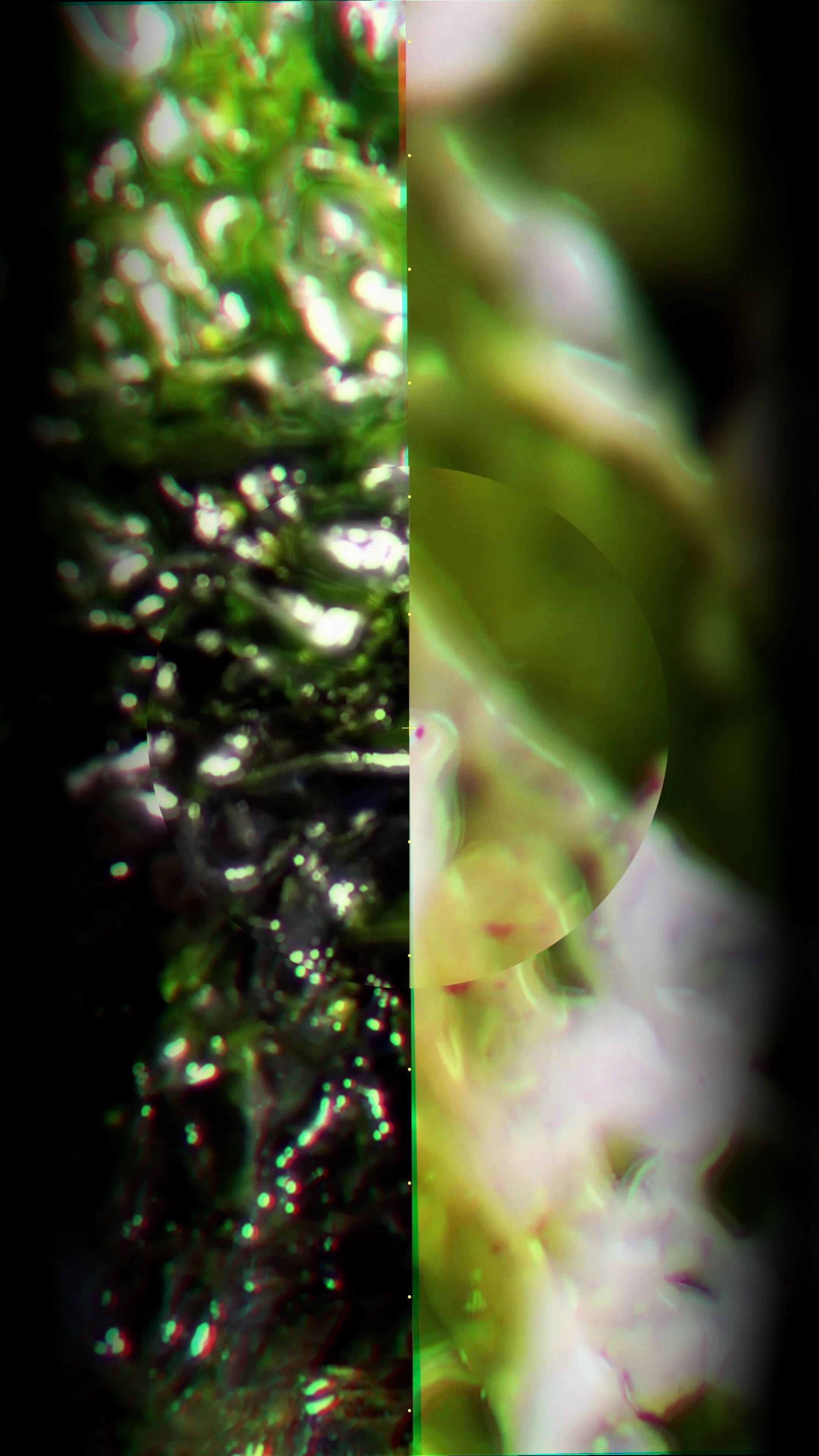 An image without an alt, whoops