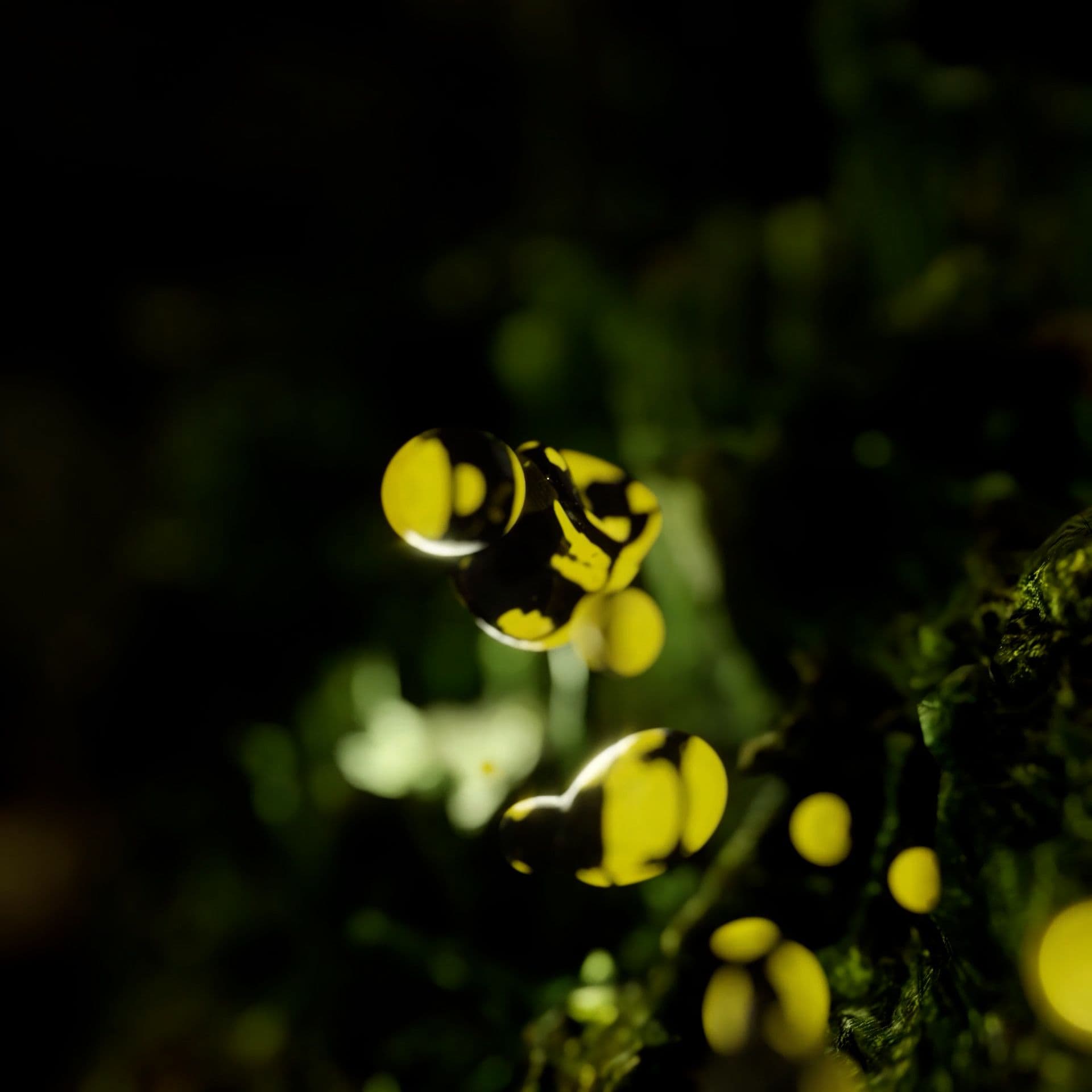 An image without an alt, whoops