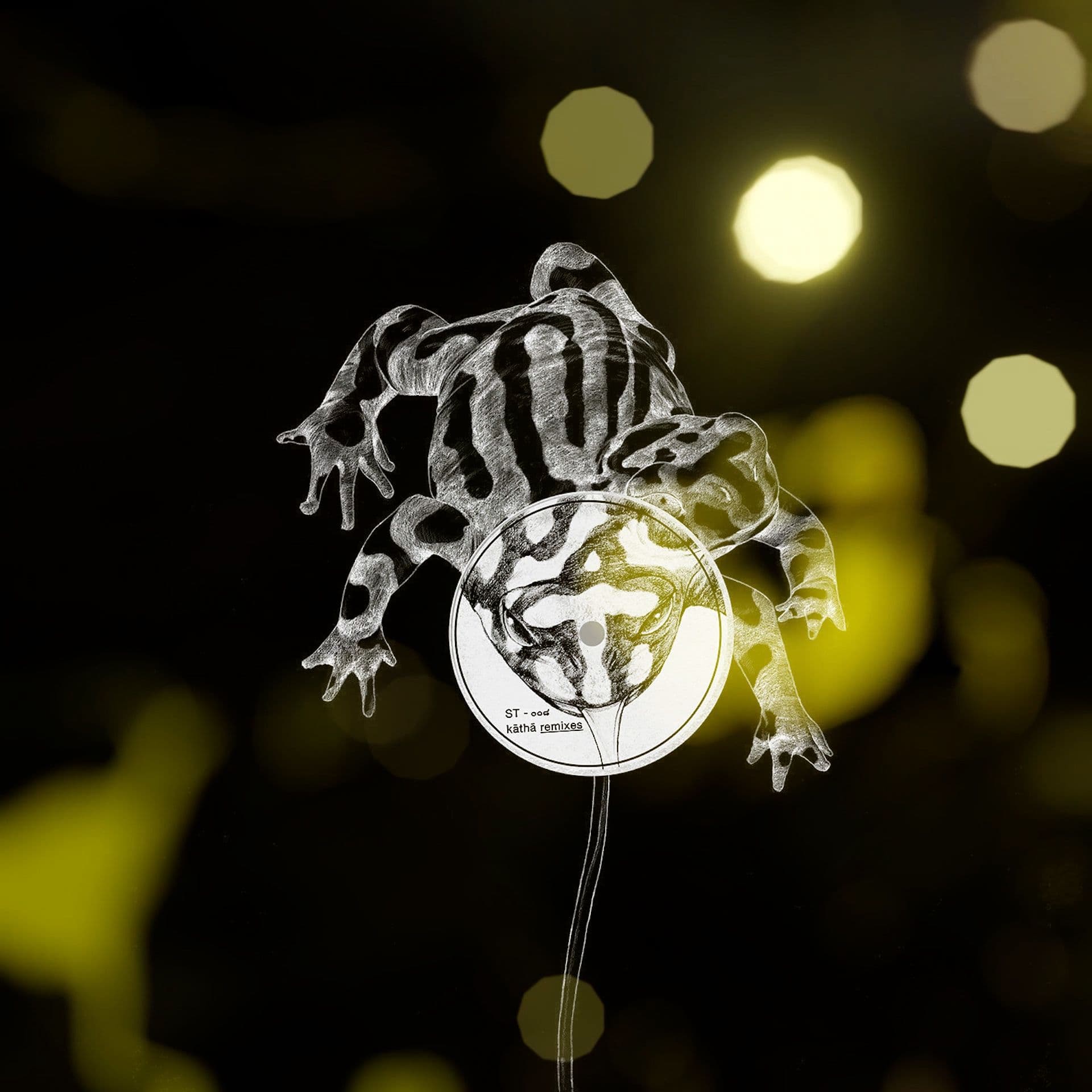 An image without an alt, whoops