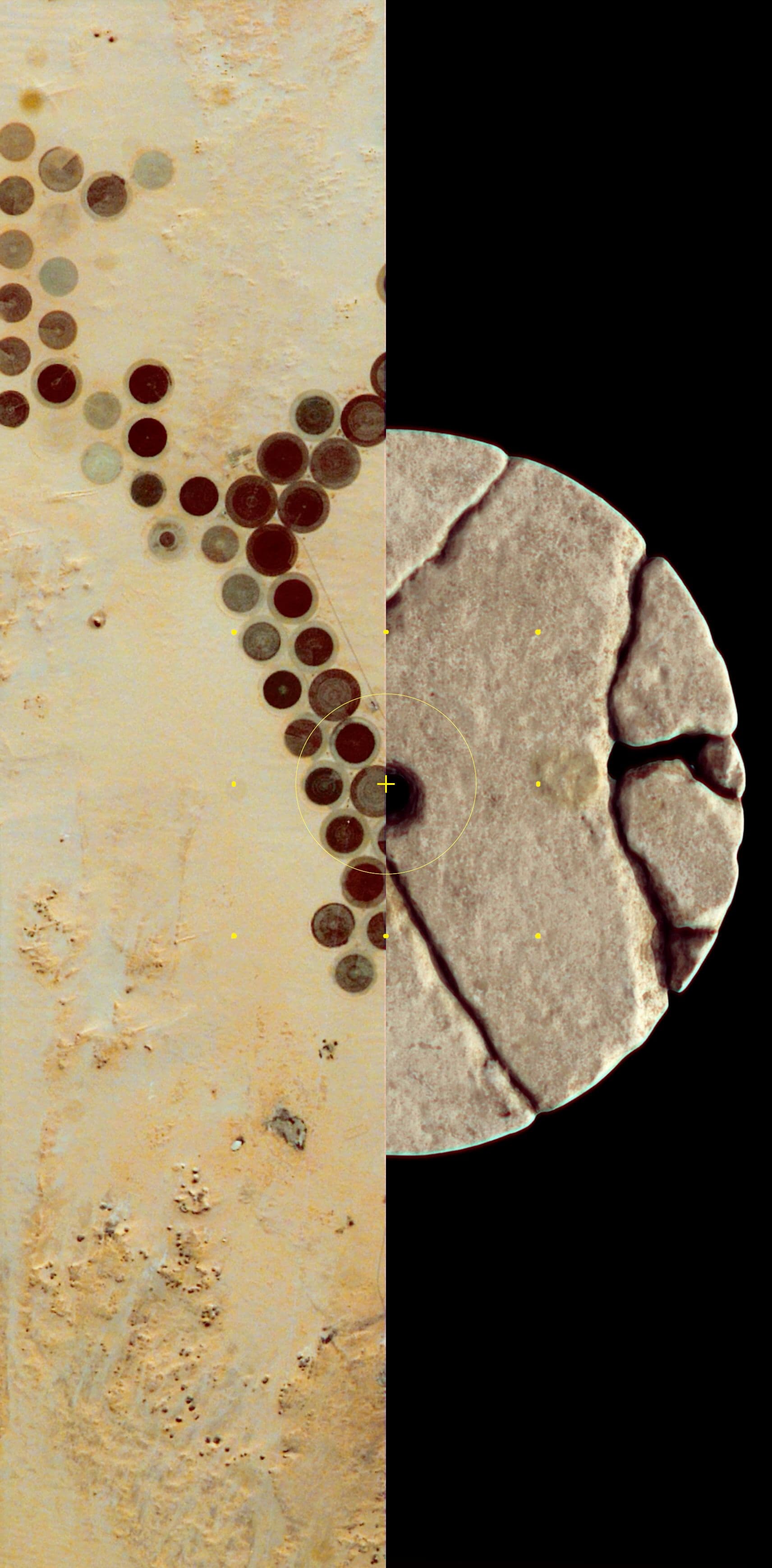 An image without an alt, whoops