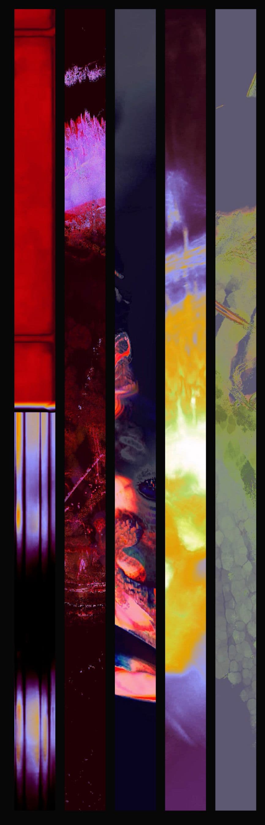 An image without an alt, whoops