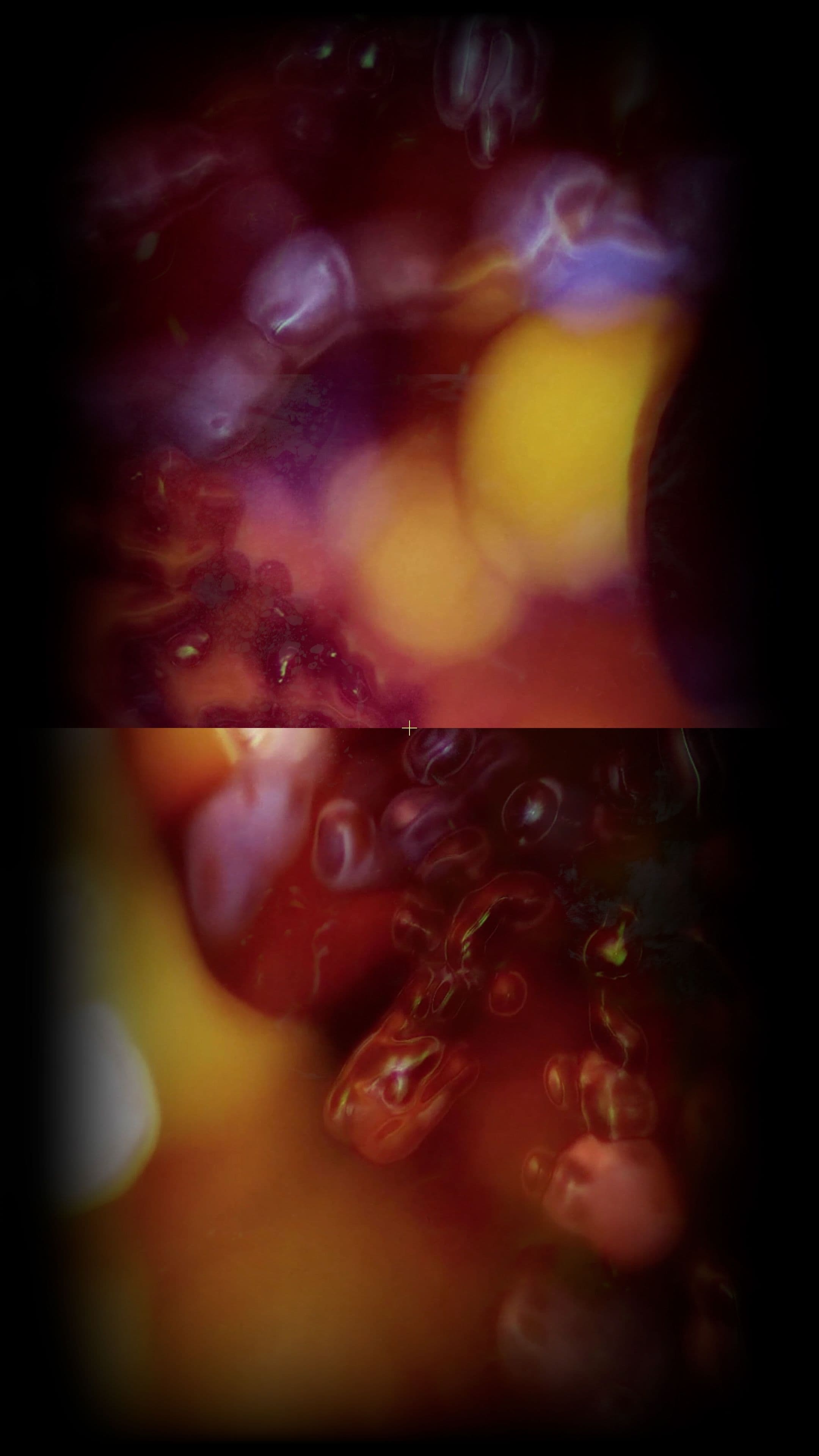 An image without an alt, whoops