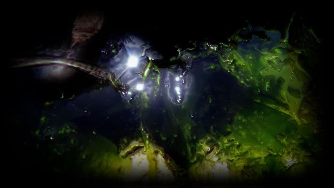 An image without an alt, whoops