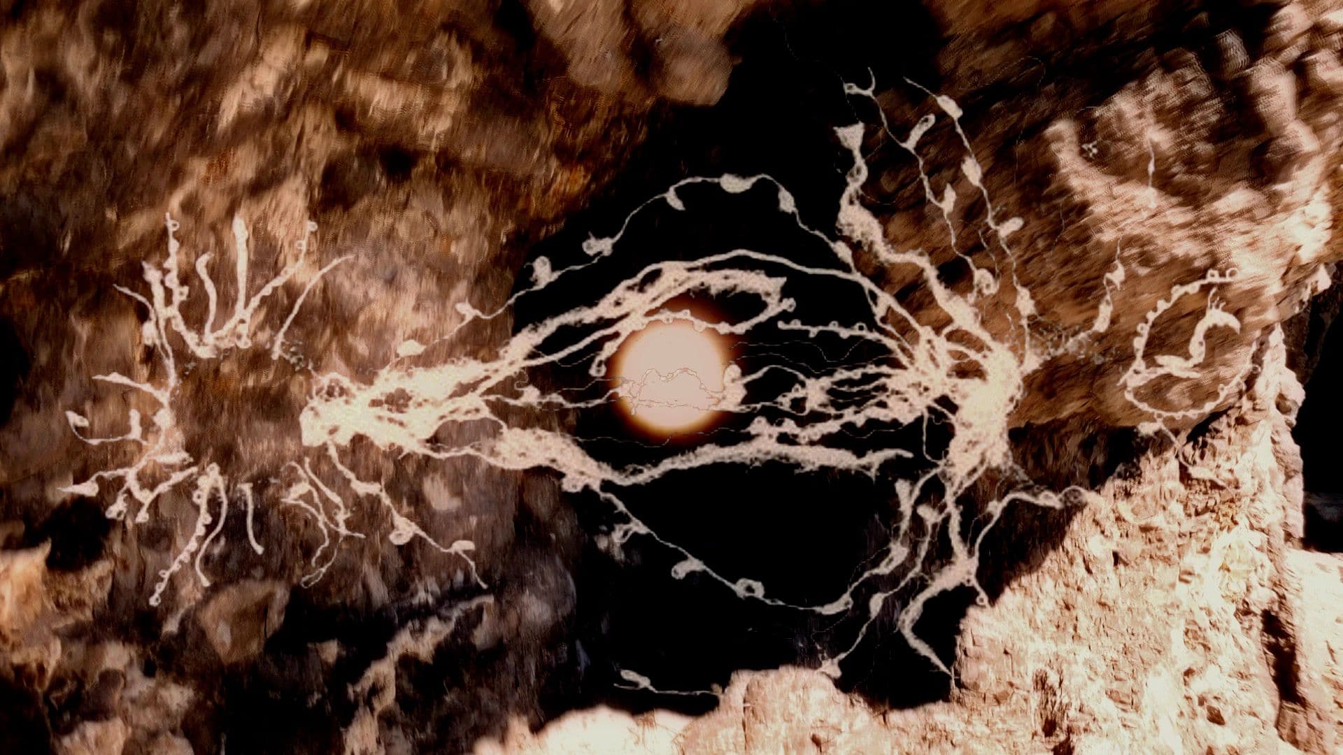 An image without an alt, whoops