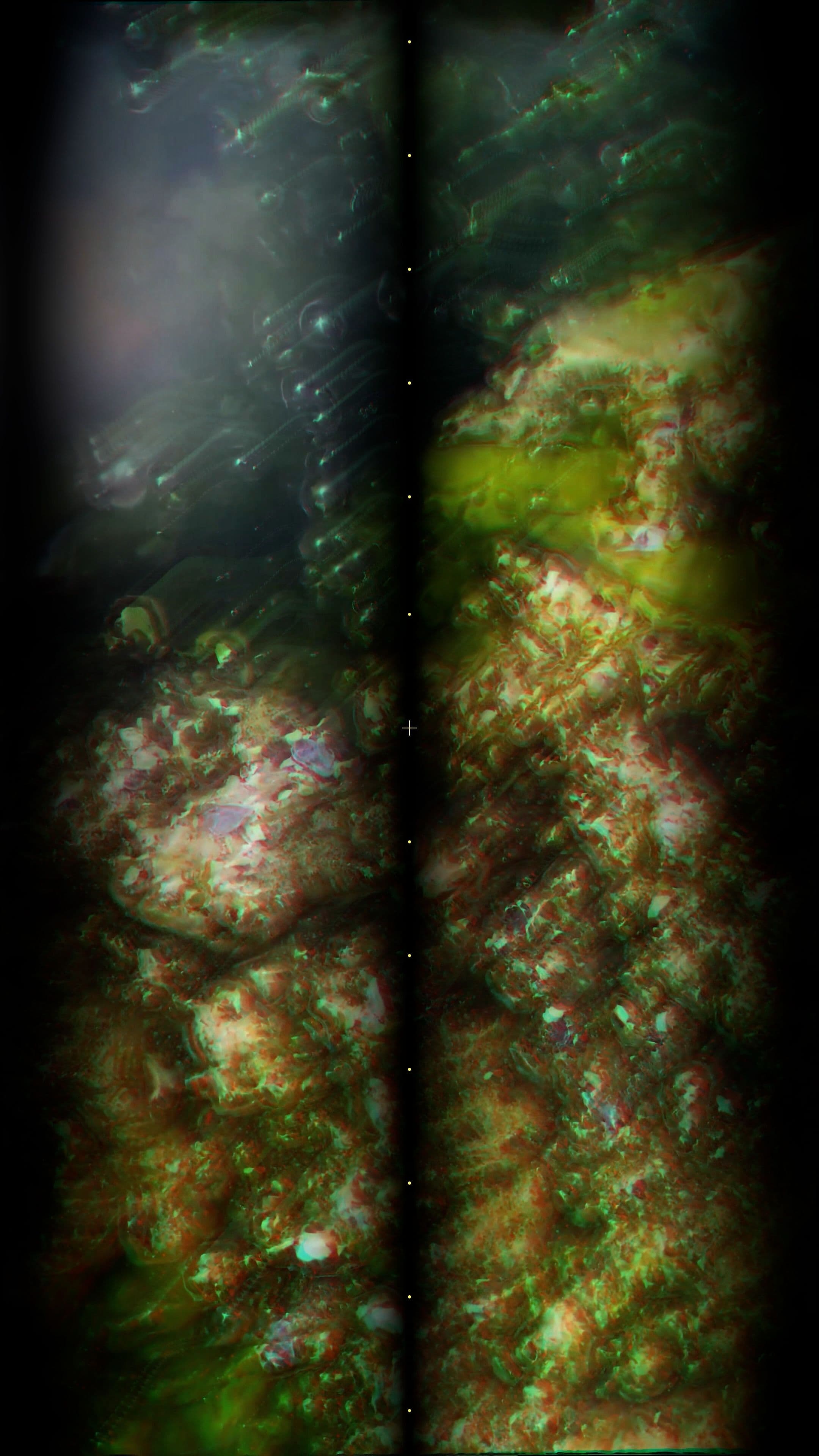 An image without an alt, whoops