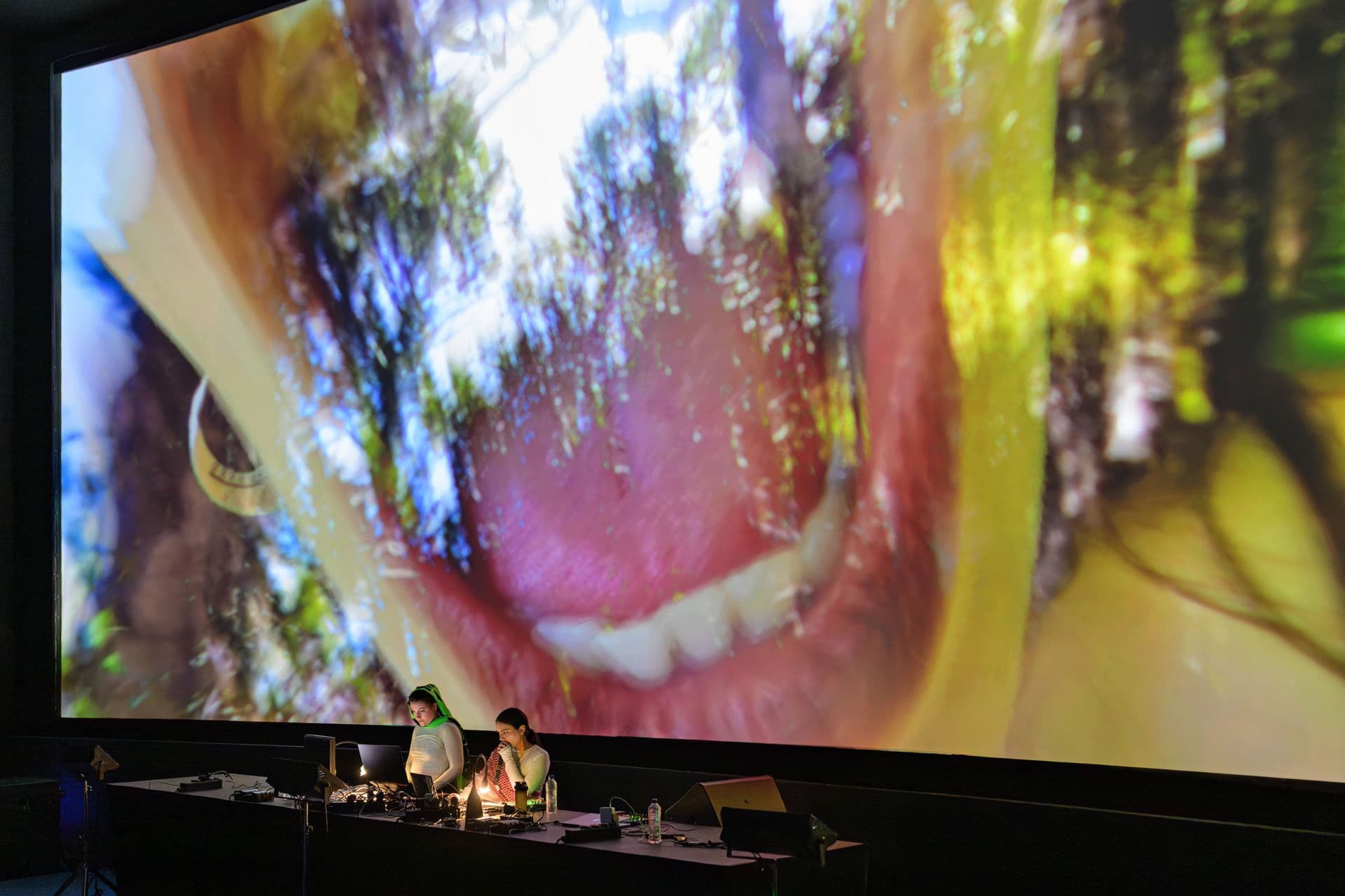 An image without an alt, whoops