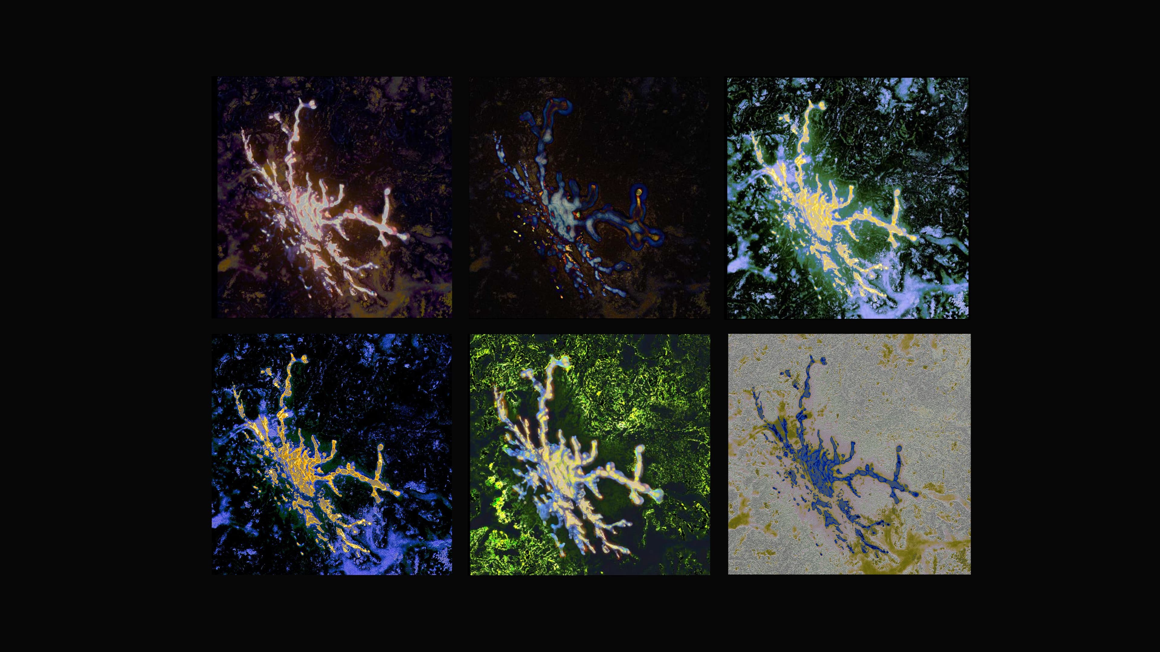 An image without an alt, whoops