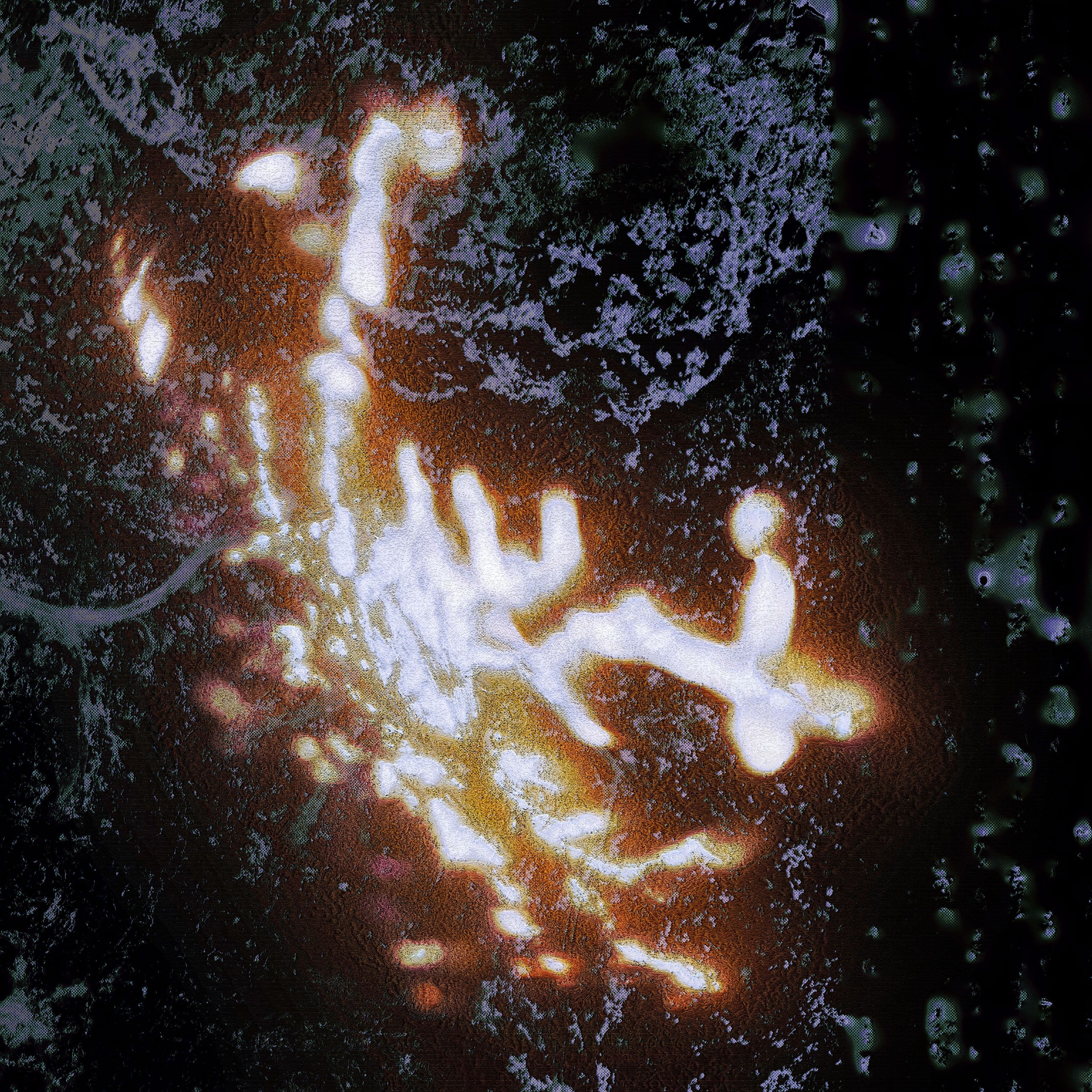 An image without an alt, whoops