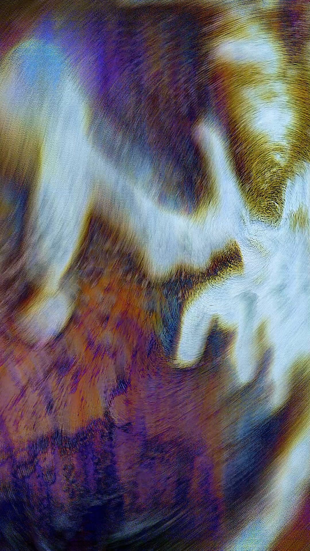 An image without an alt, whoops