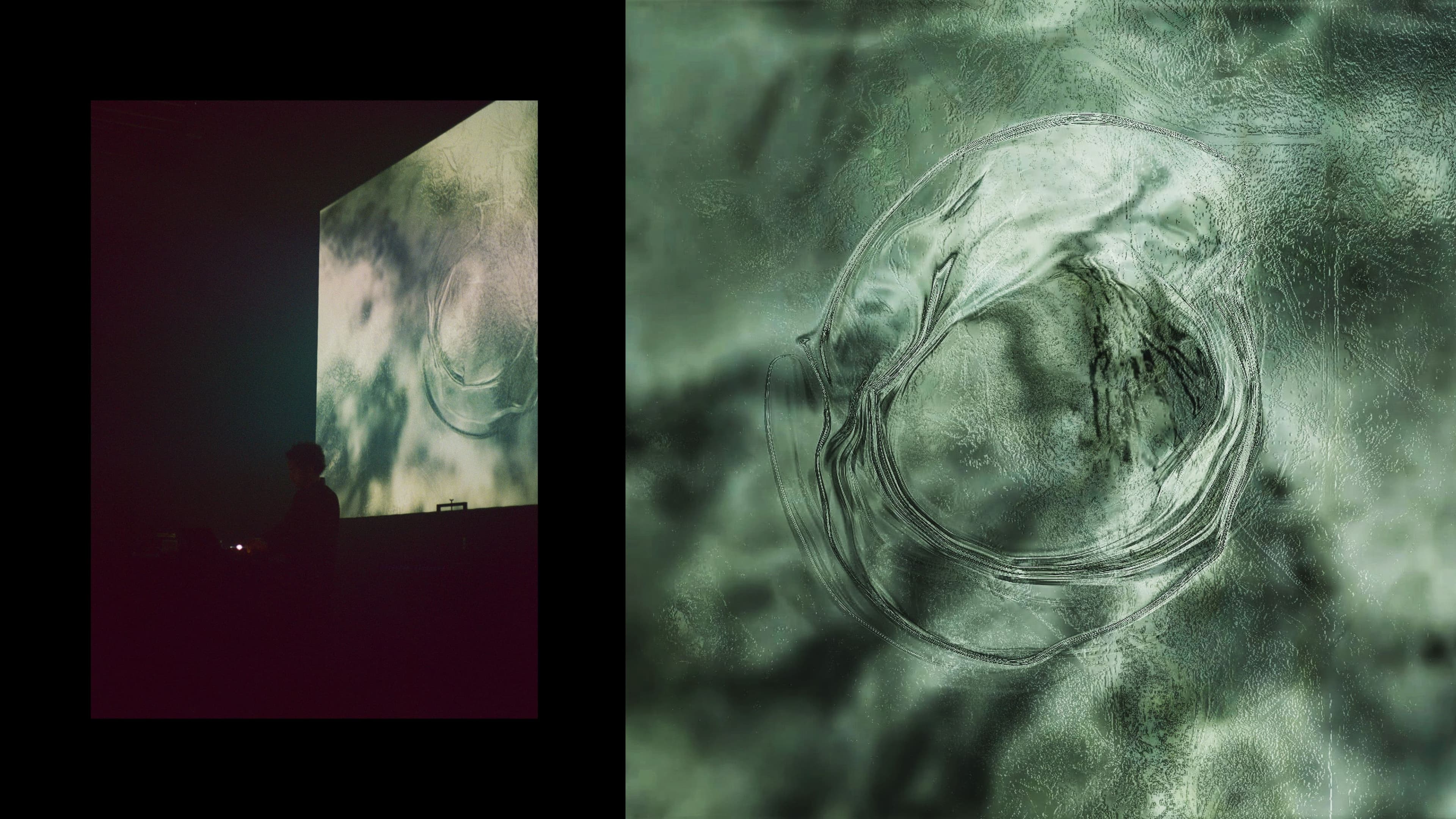 An image without an alt, whoops