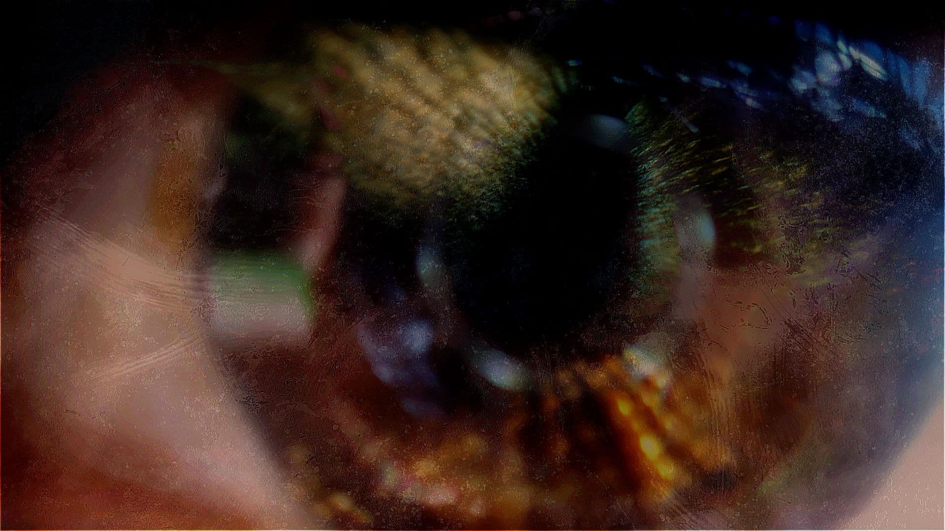 An image without an alt, whoops