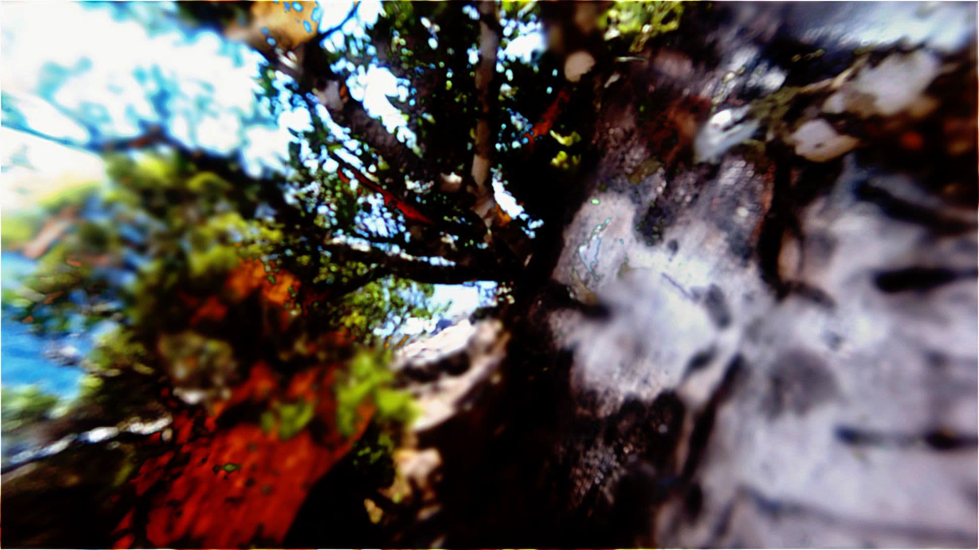 An image without an alt, whoops